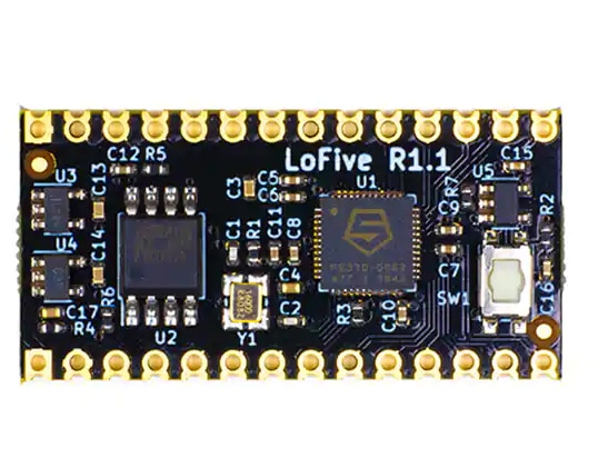 LOFIVE-R1 SIFIVE FE310-G002 RIS..